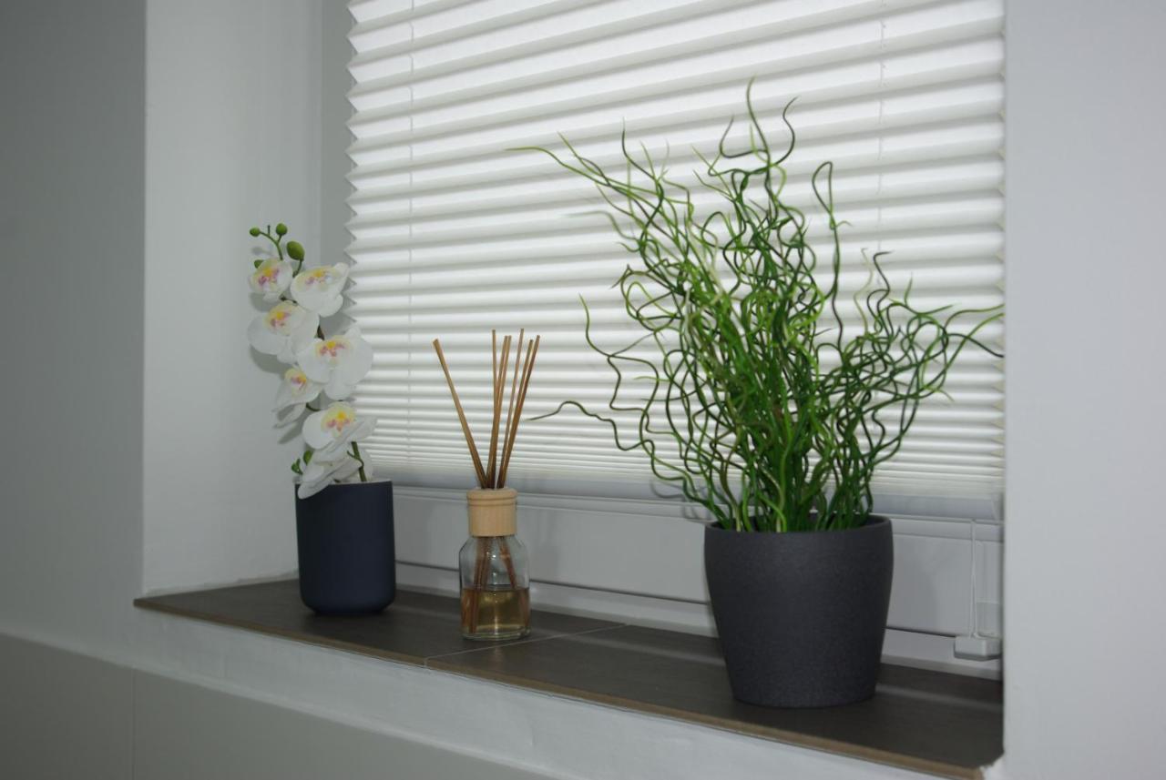 דטמולד Ferienwohnung Am Hermann מראה חיצוני תמונה